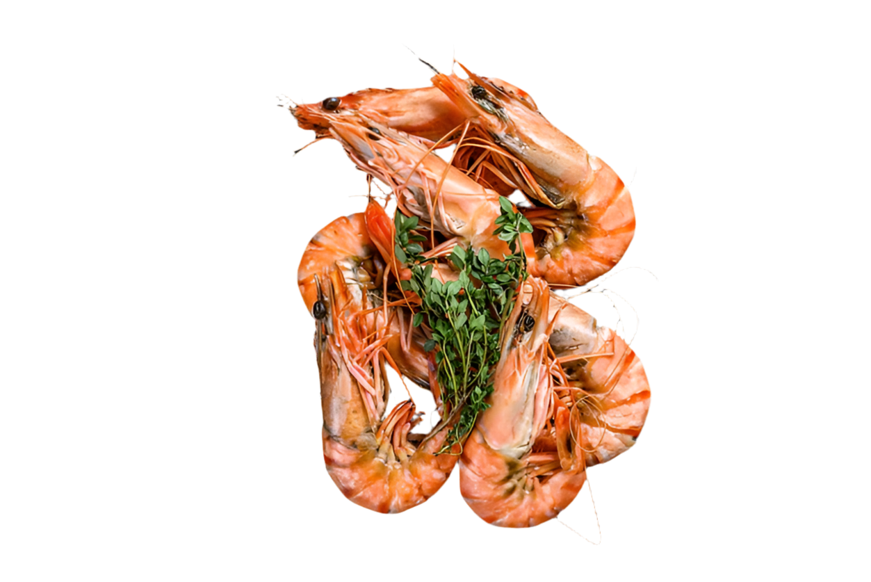 Gambas 10/15!