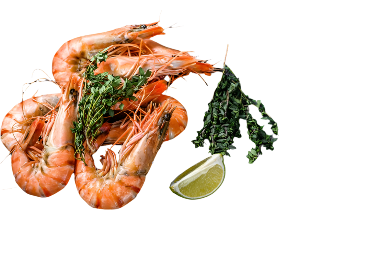 Gambas 10/15!