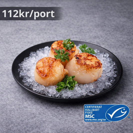 Pilgrimsmusslor 10/20